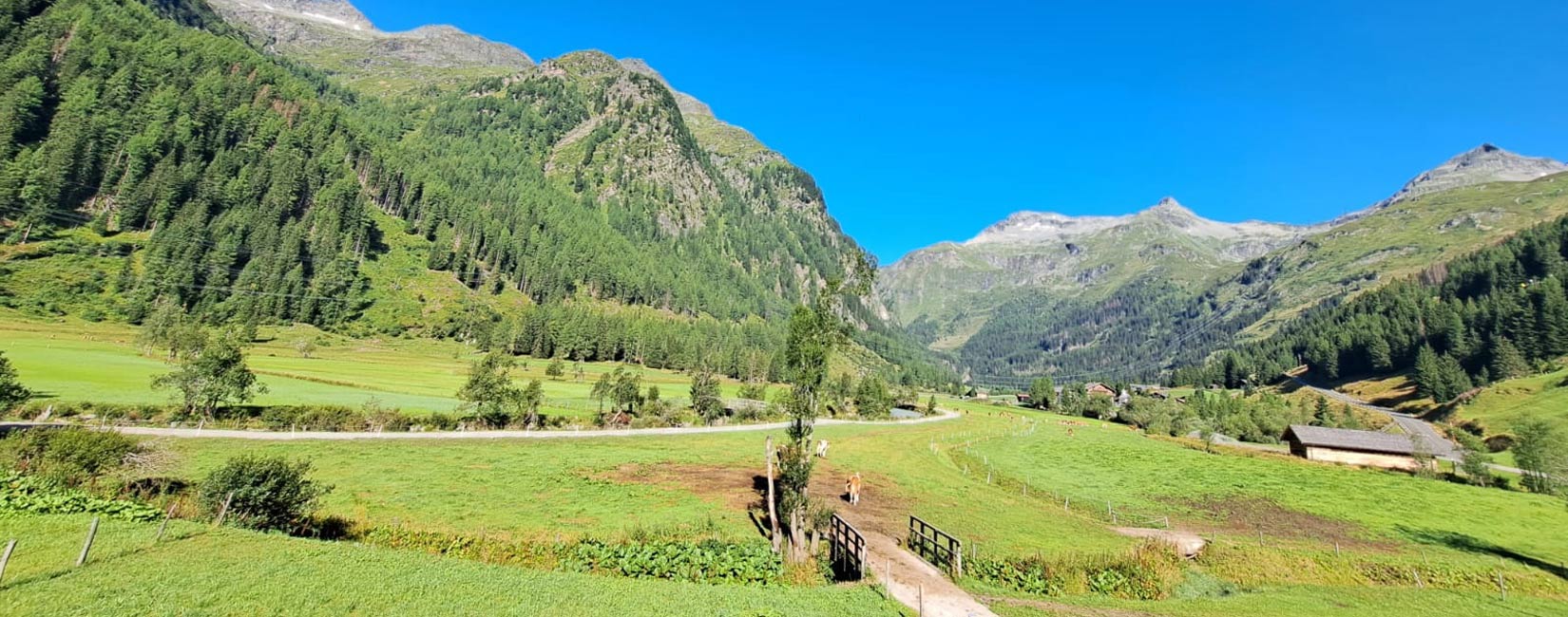 ausblick-riepleralm-matrei-.jpg